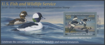 Picture of RW93A 2026 Duck Stamp 