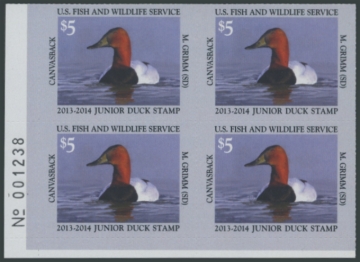 Picture of JDS21 2013 Duck Stamp 