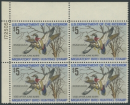 Picture of RW41 1974 Duck Stamp 
