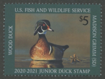 Picture of JDS28 2020 Duck Stamp 