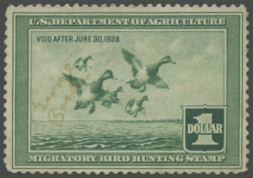 Picture of RW4 1937 Duck Stamp 