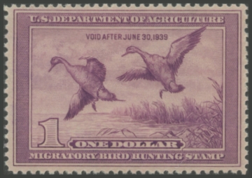 Picture of RW5 1938 Duck Stamp 