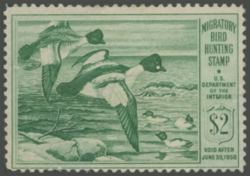 Picture of RW16 1949 Duck Stamp 