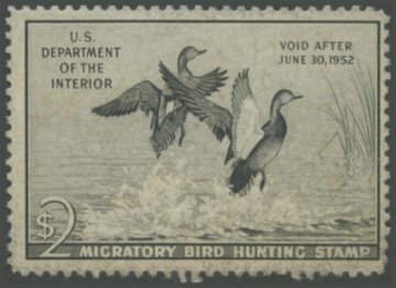 Picture of RW18 1951 Duck Stamp 