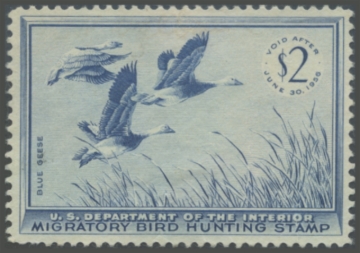 Picture of RW22 1955 Duck Stamp 