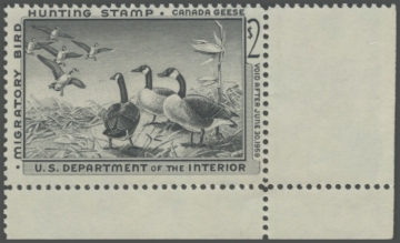 Picture of RW25 1958 Duck Stamp 