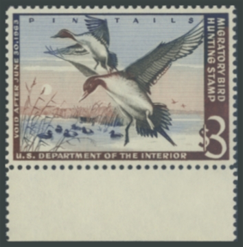 Picture of RW29 1962 Duck Stamp 