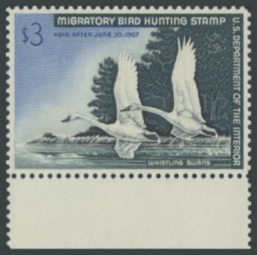 Picture of RW33 1966 Duck Stamp 