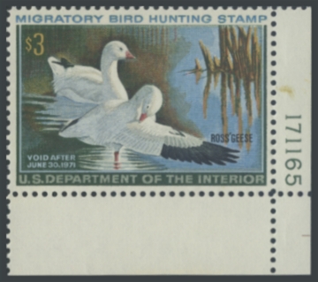 Picture of RW37 1970 Duck Stamp 