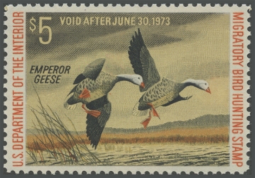 Picture of RW39 1972 Duck Stamp 