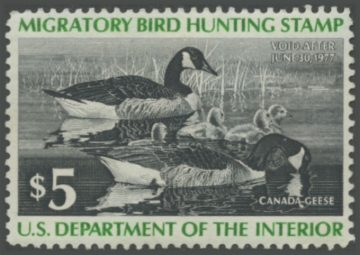 Picture of RW43 1976 Duck Stamp 