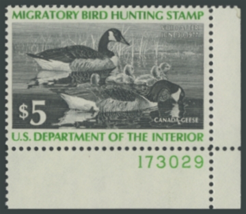 Picture of RW43 1976 Duck Stamp 