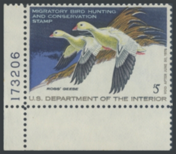 Picture of RW44 1977 Duck Stamp 