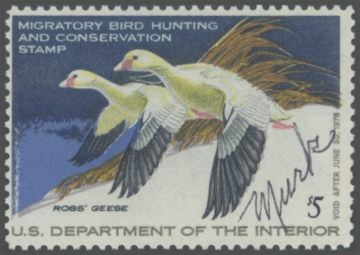 Picture of RW44 1977 Duck Stamp 