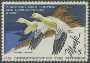 Picture of RW44 1977 Duck Stamp 
