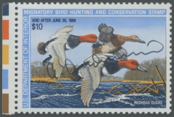 Picture of RW54 1987 Duck Stamp. Artist Signed 