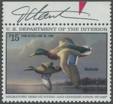 Picture of RW62 1995 Duck Stamp Artist Signed 