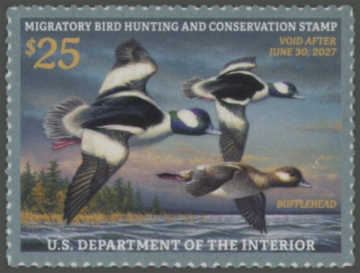 Picture of RW93 2026 Duck Stamp 