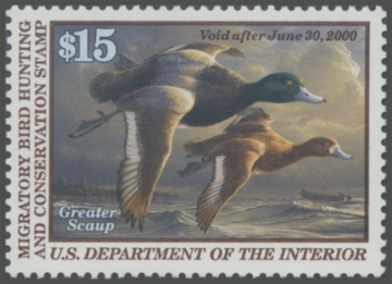 Picture of RW66 1999 Duck Stamp 