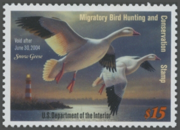 Picture of RW70 2003 Duck Stamp 