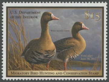 Picture of RW78 2011 Duck Stamp 