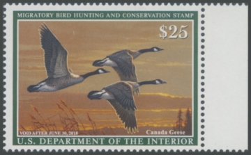 Picture of RW84 2017 Duck Stamp 