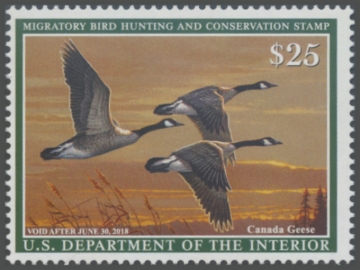 Picture of RW84 2017 Duck Stamp 