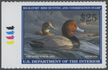 Picture of RW89 2022 Duck Stamp 