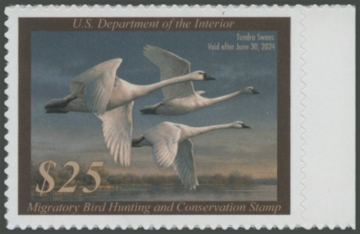 Picture of RW90 2023 Duck Stamp 