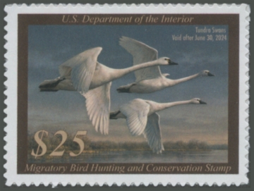 Picture of RW90 2023 Duck Stamp 