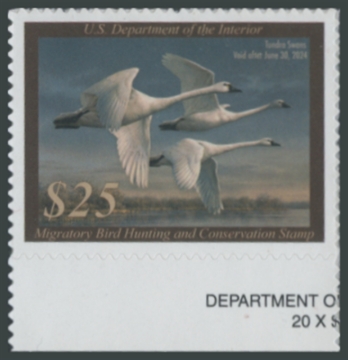 Picture of RW90 2023 Duck Stamp 