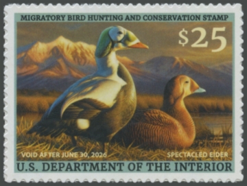 Picture of RW92 2025 Duck Stamp 