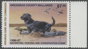 Picture of 1996 Arkansas Duck Stamp. Hunter Type