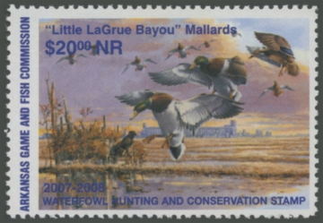 Picture of 2007 Arkansas Duck Stamp. NR Hunter Type