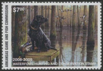 Picture of 2008 Arkansas Duck Stamp. Hunter Type