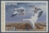 Picture of 2015 Arkansas Duck Stamp NR Hunter Type