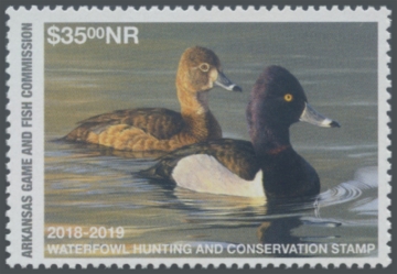 Picture of 2018 Arkansas Duck Stamp NR Hunter Type