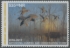 Picture of 2016 Arkansas Duck Stamp NR Hunter Type