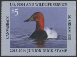 Picture of JDS21 2013 Duck Stamp 