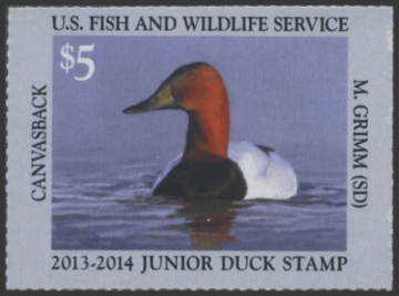 Picture of JDS21 2013 Duck Stamp 