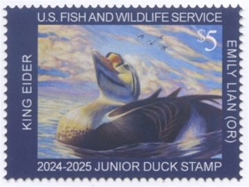 Picture of JDS32 2024 Duck Stamp 