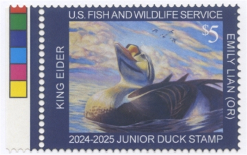 Picture of JDS32 2024 Duck Stamp 