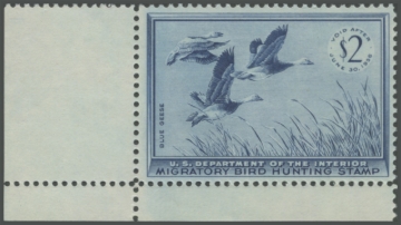 Picture of RW22 1955 Duck Stamp 