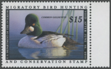 Picture of RW80 2013 Duck Stamp 