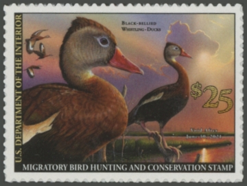 Picture of RW87 2020 Duck Stamp