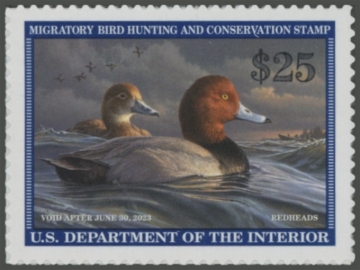 Picture of RW89 2022 Duck Stamp 