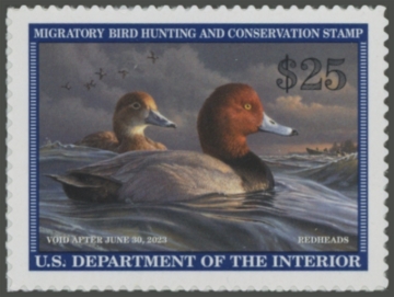 Picture of RW89 2022 Duck Stamp 