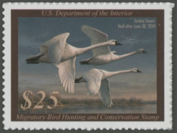 Picture of RW90 2023 Duck Stamp 