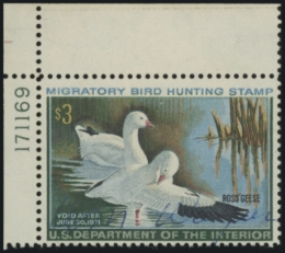 Picture of RW37 1970 Duck Stamp 