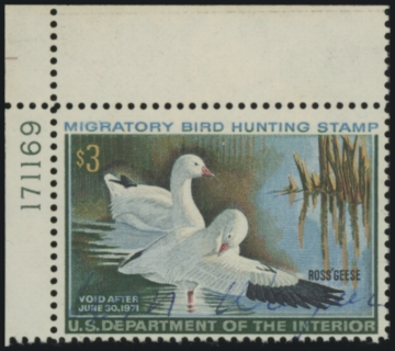 Picture of RW37 1970 Duck Stamp 
